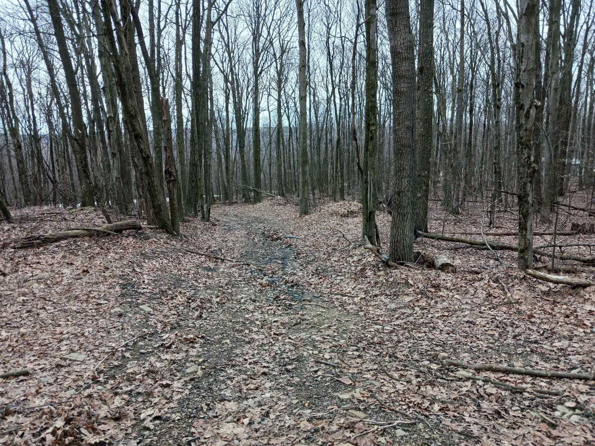 W Road - Rock Run Recreation Area trail photo