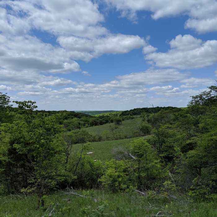Near Valley View Glades Main Trail