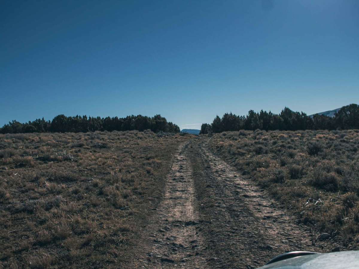 Cotterel Mountain Road photo 3
