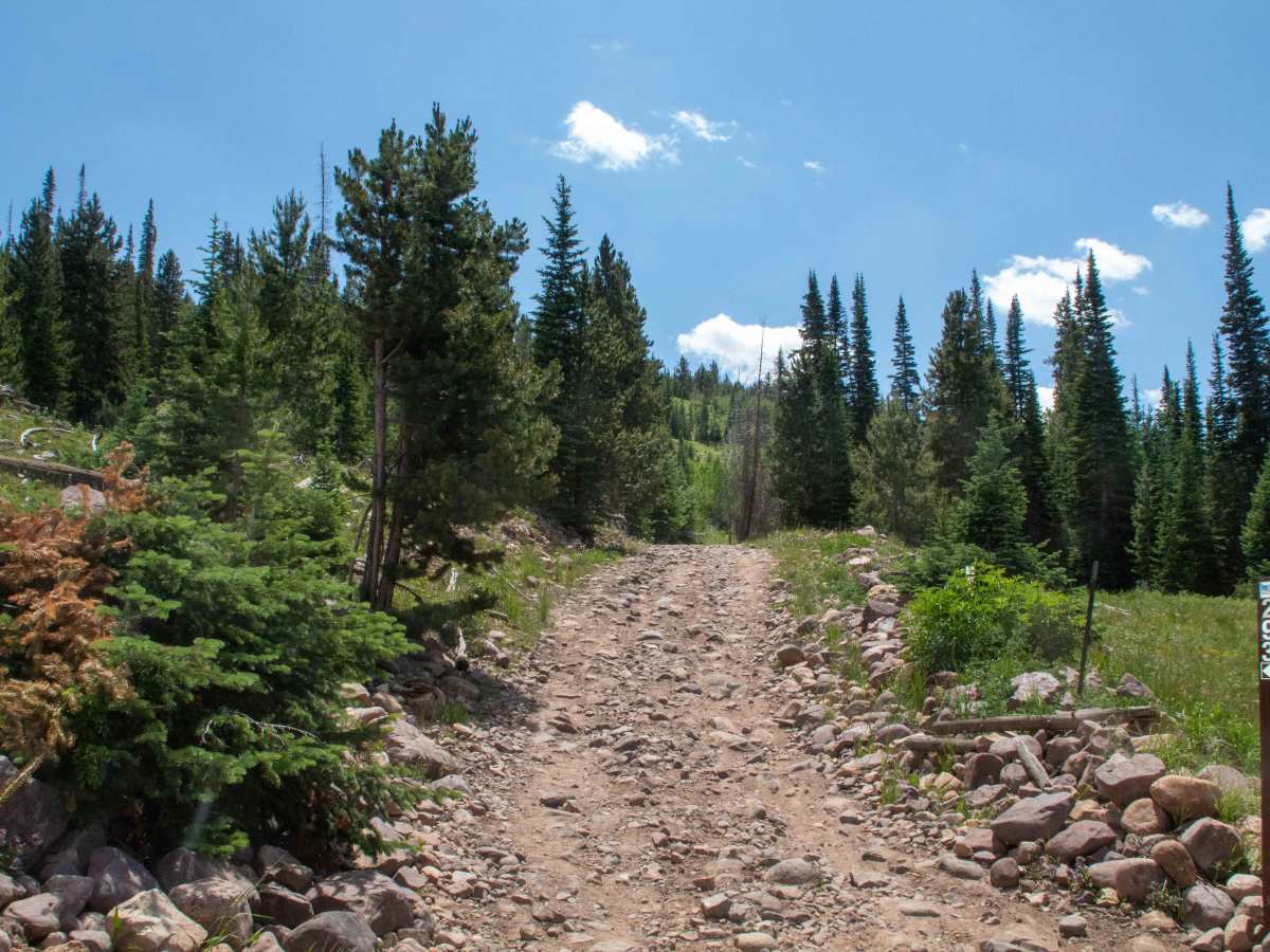 Lym Lake 4x4 trail photo