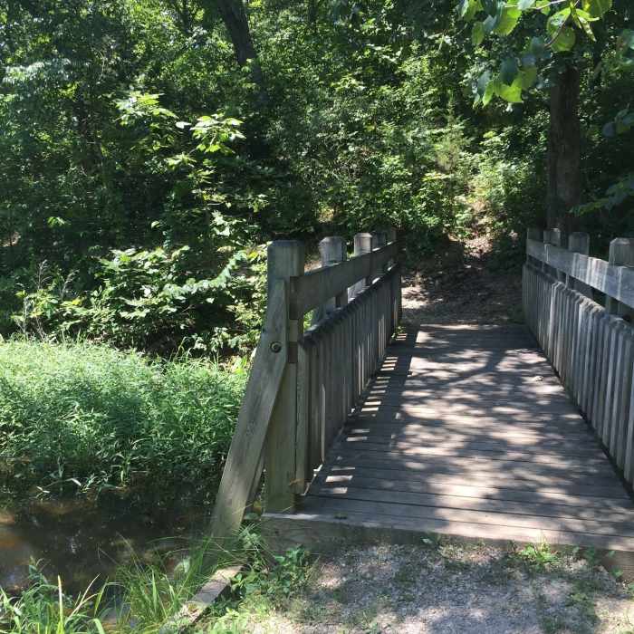 First bridge. Near North Loop Trail