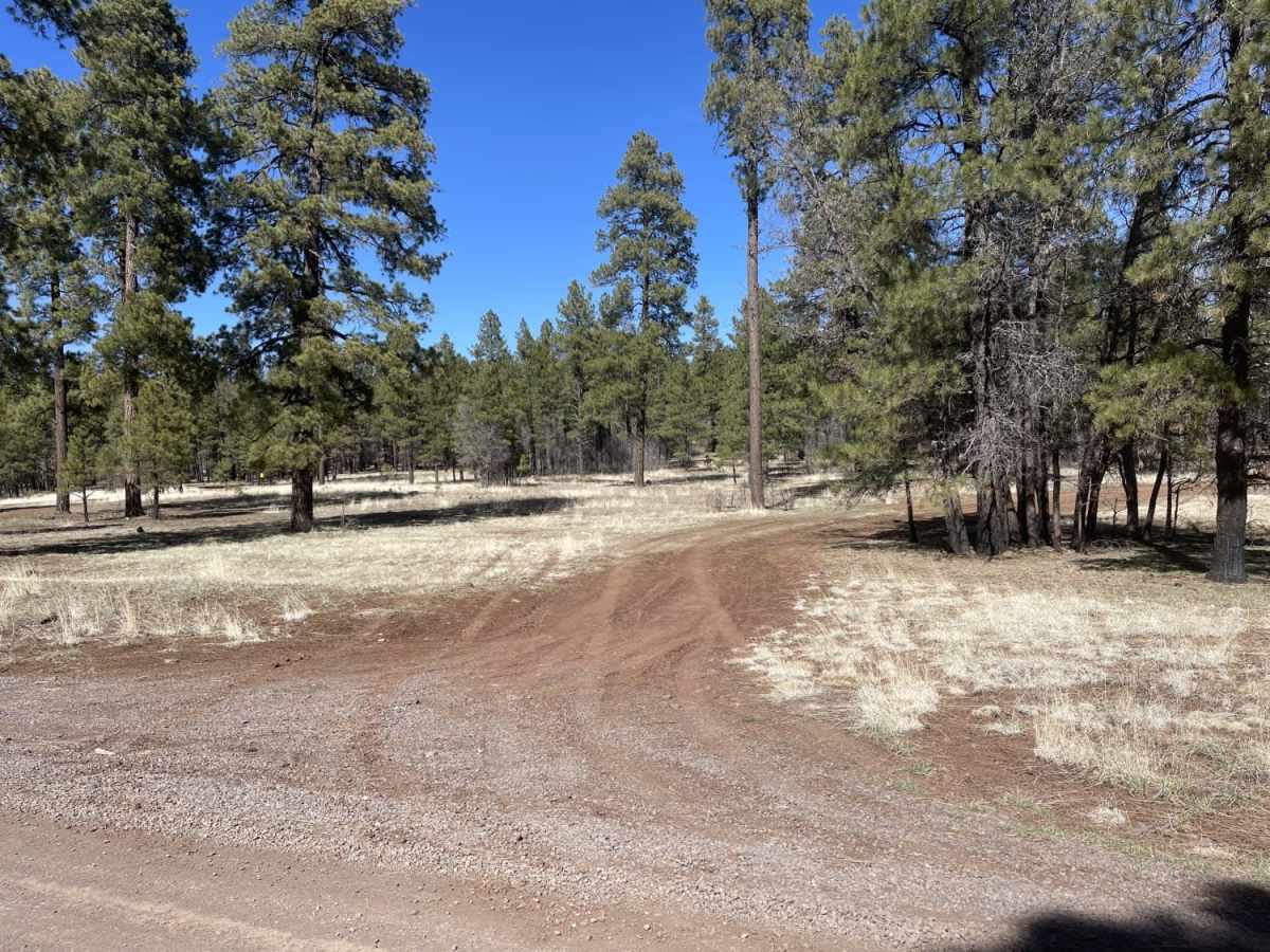 Ruin Mountain photo 6