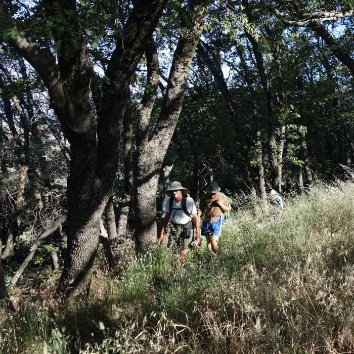 Two hikers make their way along the Five Oaks Trail. Near Five Oaks Trail