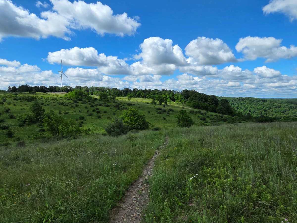 Single Track K photo 3