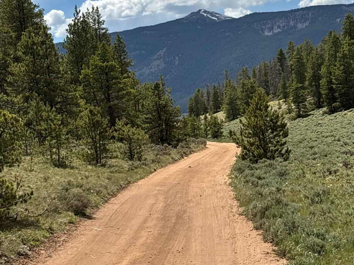 Hobbs Gulch Road photo 4