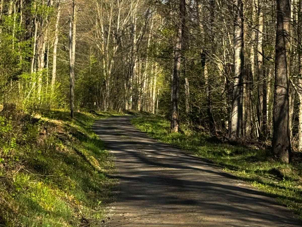 Woodward Dam Road photo 3