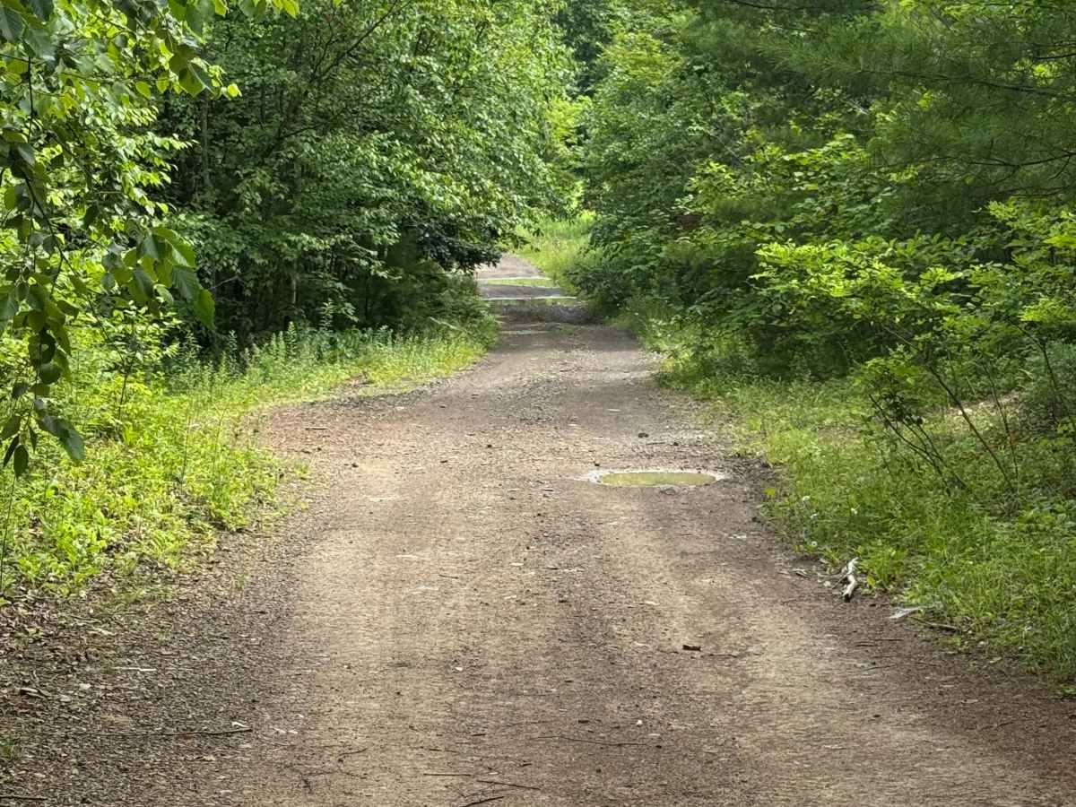 Trail 21 photo 2