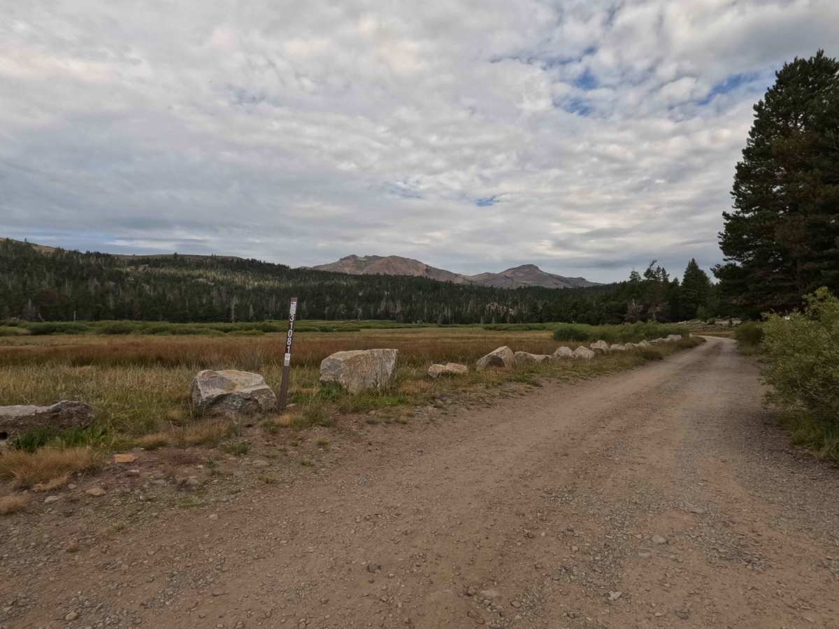 Hope Valley Campground South - FS 31081 photo 3
