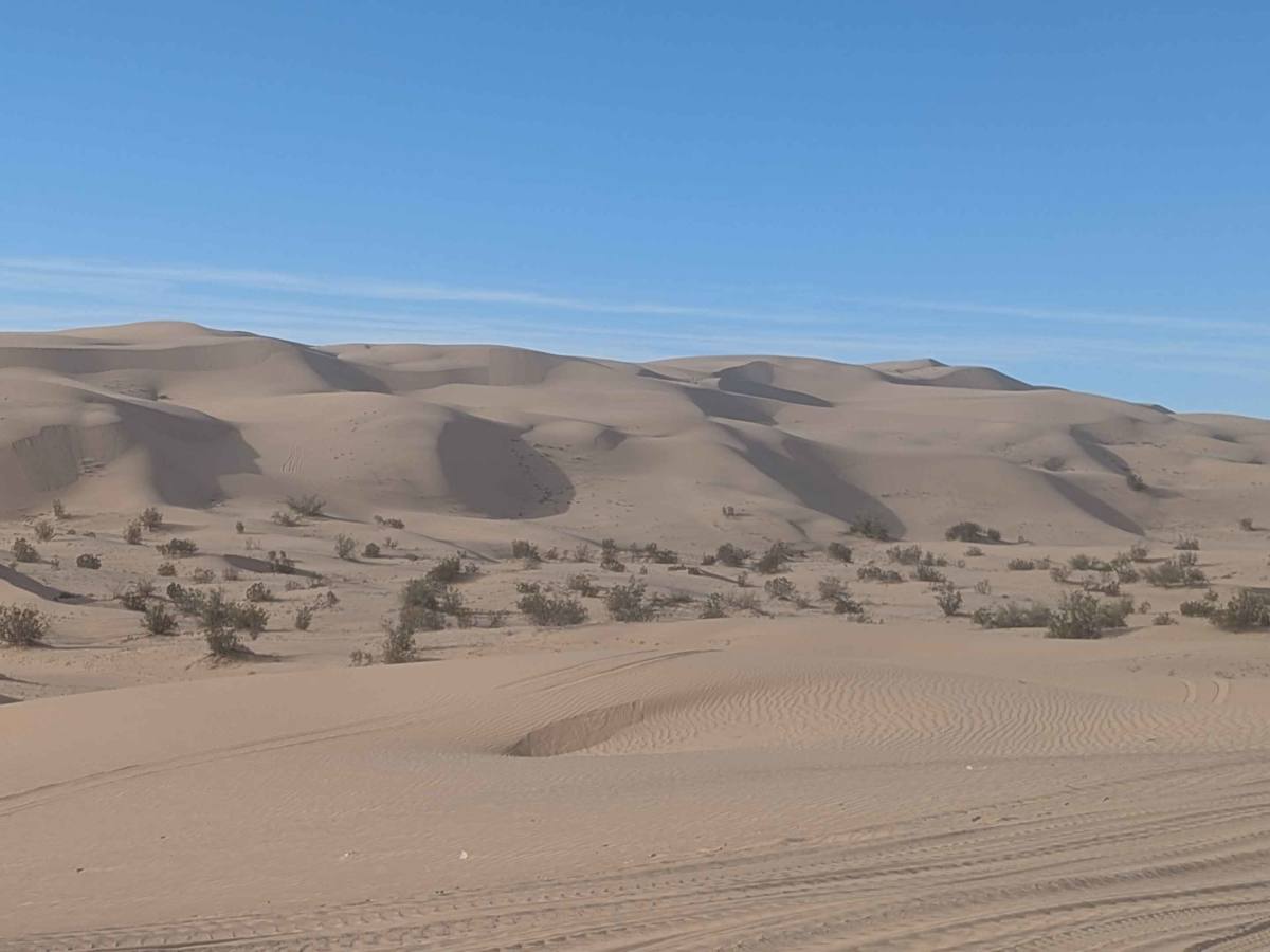 The Sand Highway photo 3