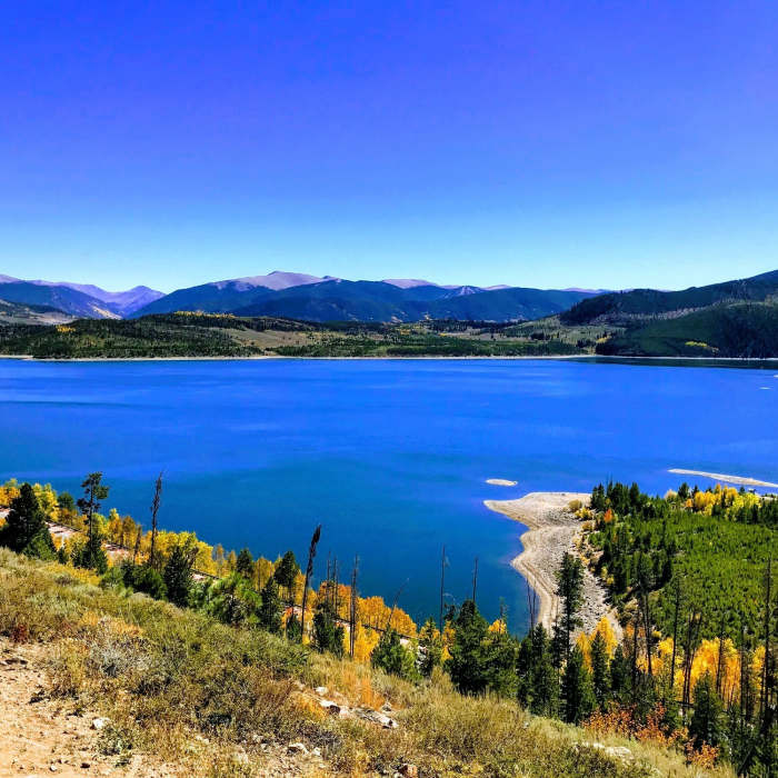 Near Old Dillon Reservoir Trail #87