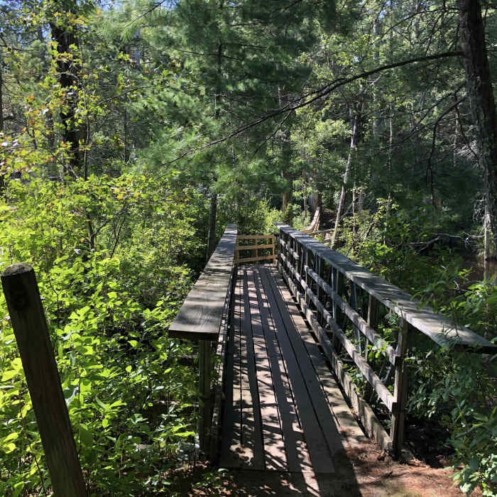 Near Blue Trail