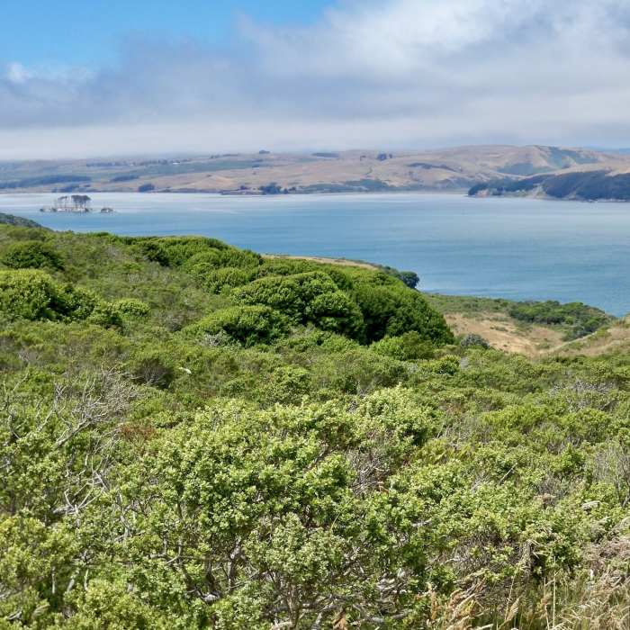 Approx 3/5th into Marshall Beach Trail. Near Marshall Beach Trail
