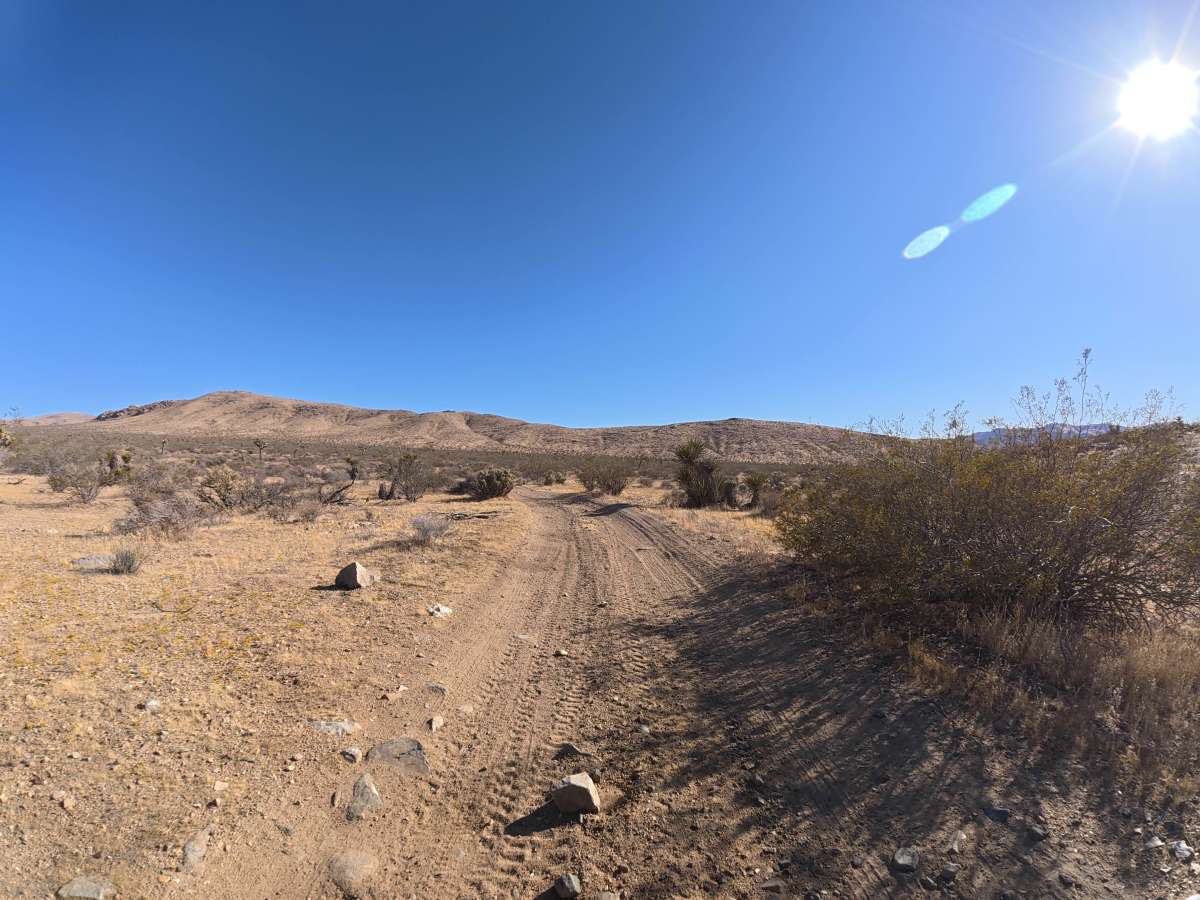 BLM SV2627 trail photo