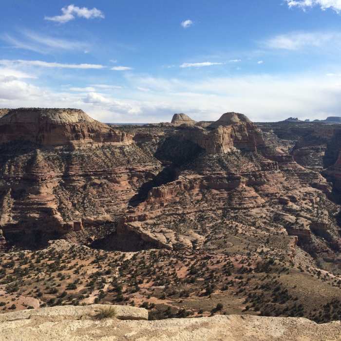 View from The Wedge Overlook Near Good Water Rim Trail (The Wedge)