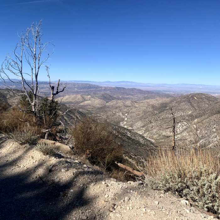 Near Three Points to Mill Creek Loop