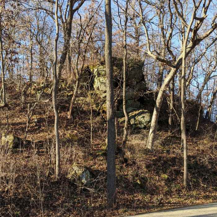 A rock of some type. Near MMSD Forest Loop