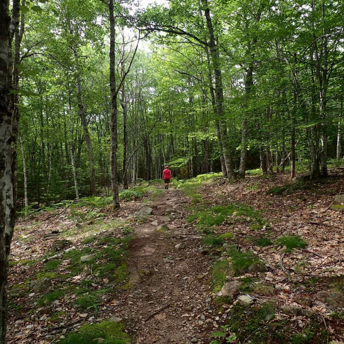 Near Kebo Brook Trail