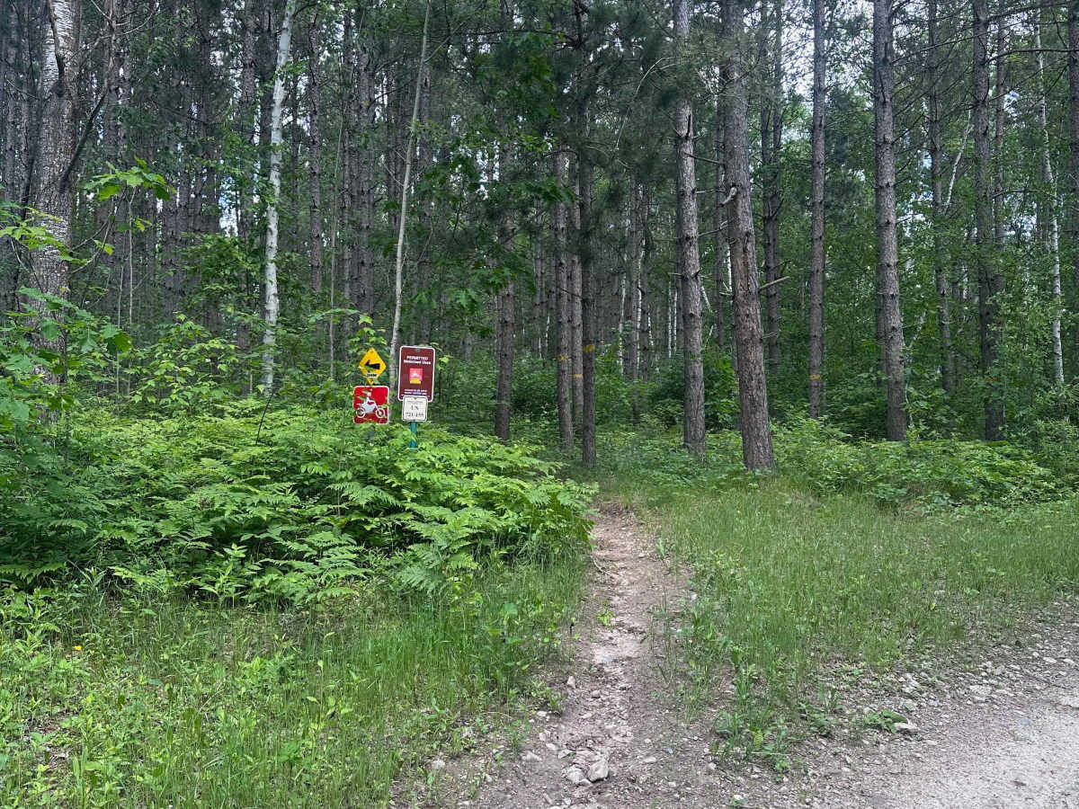 Highway 61 trail photo