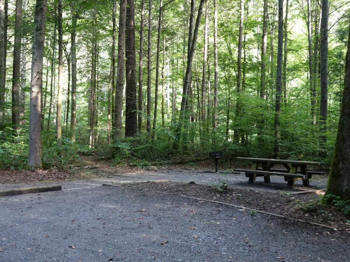 Paint Mountain Road trail photo