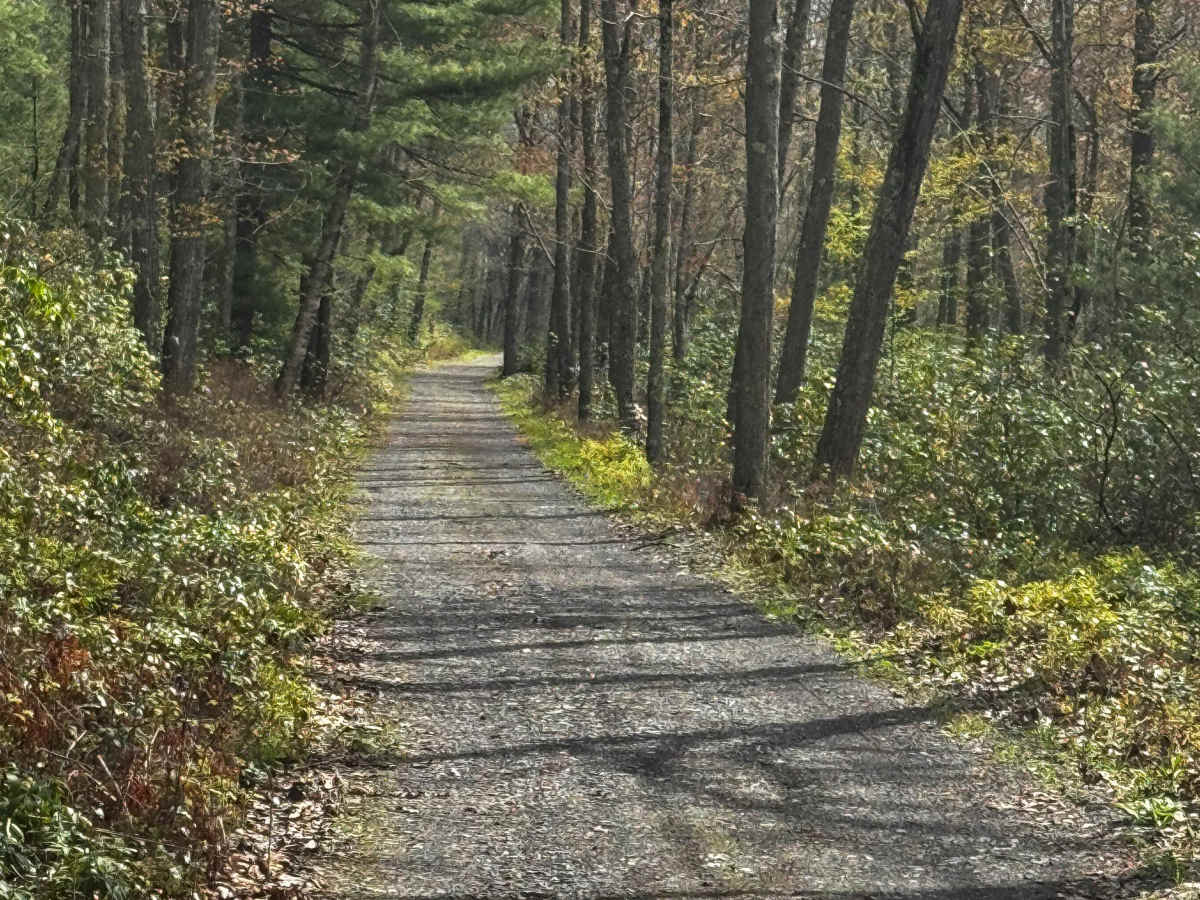 Old Grade Trail photo 4