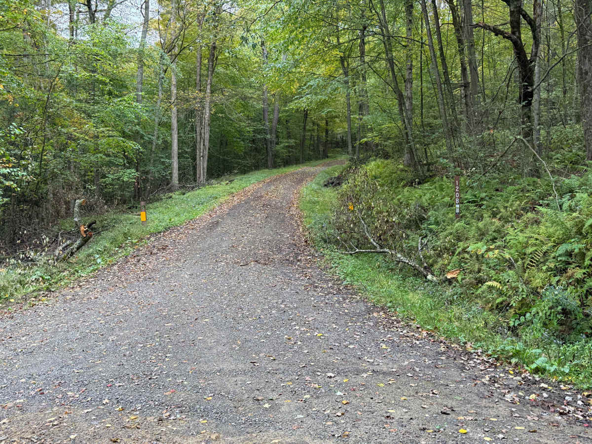 County Line B - FS 120B trail photo