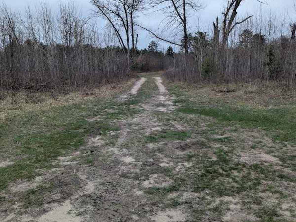 Osceola Trail South photo 6