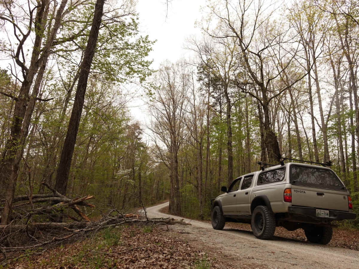 Dolan Mountain trail photo