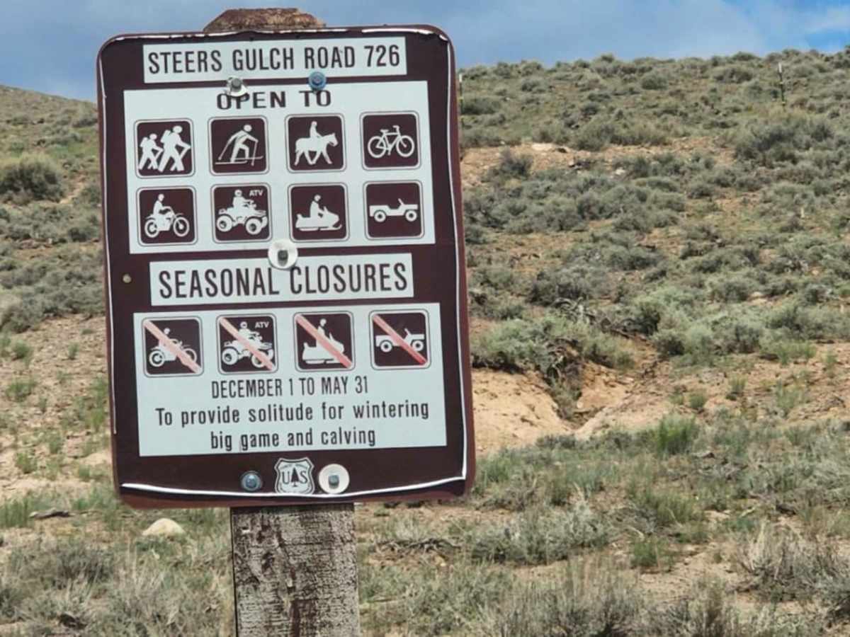 Steers Gulch Road photo 3
