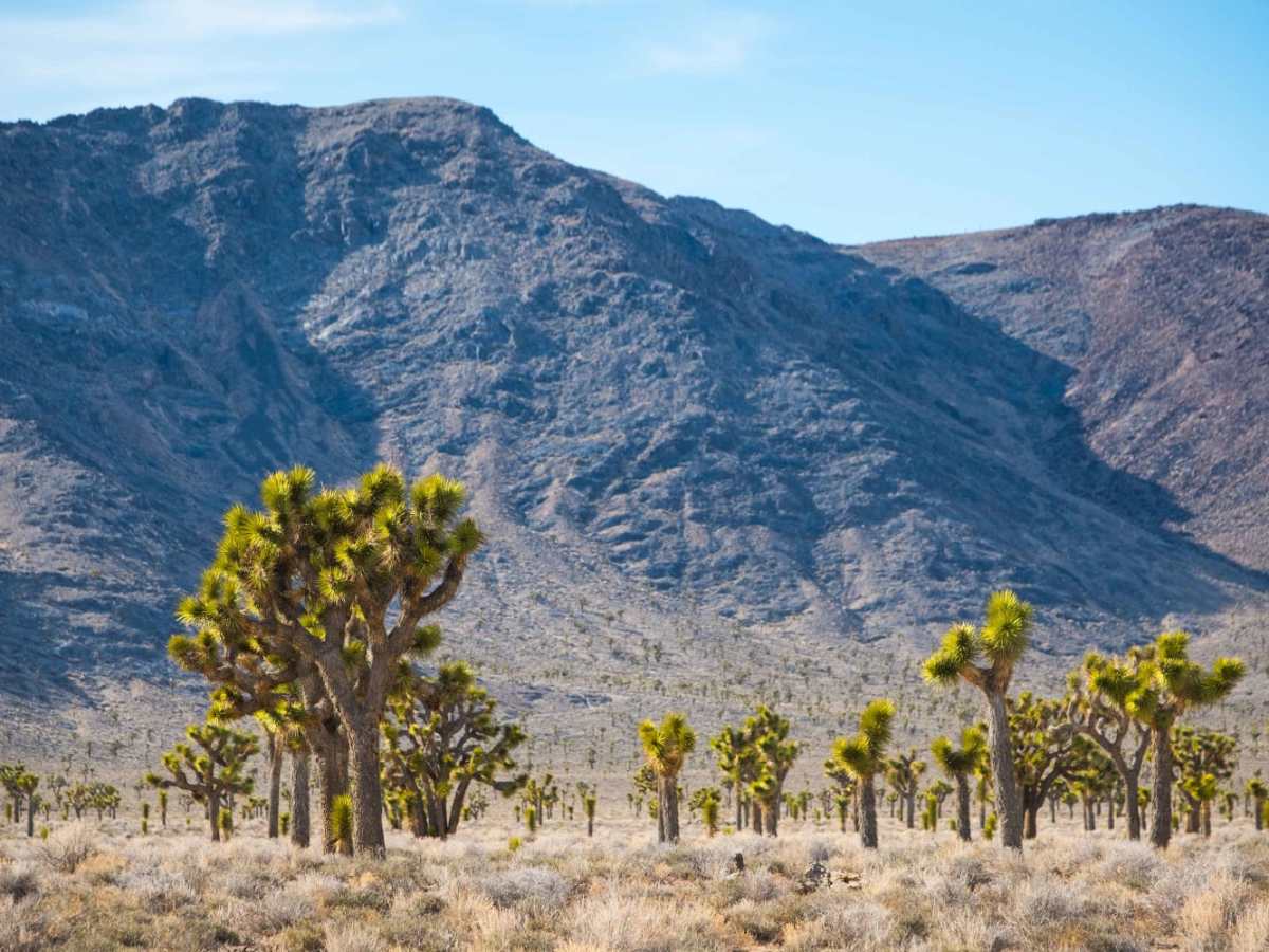 Saline Valley Road photo 5