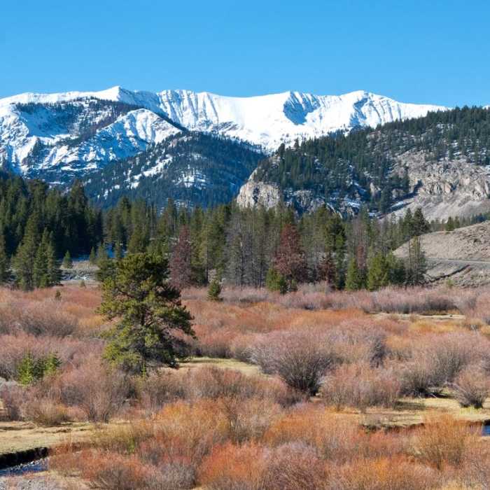 Near Fall Creek Falls