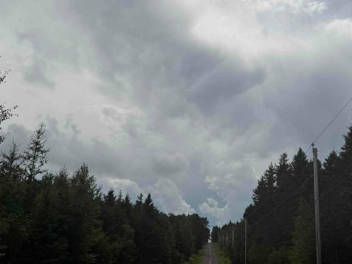 Chemin du Lac des Castors photo 6
