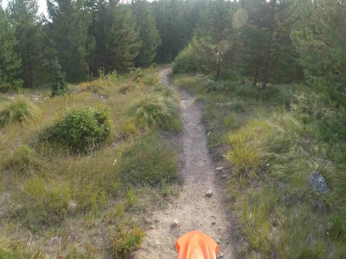 Sleeping Child Divide - FS 104 trail photo