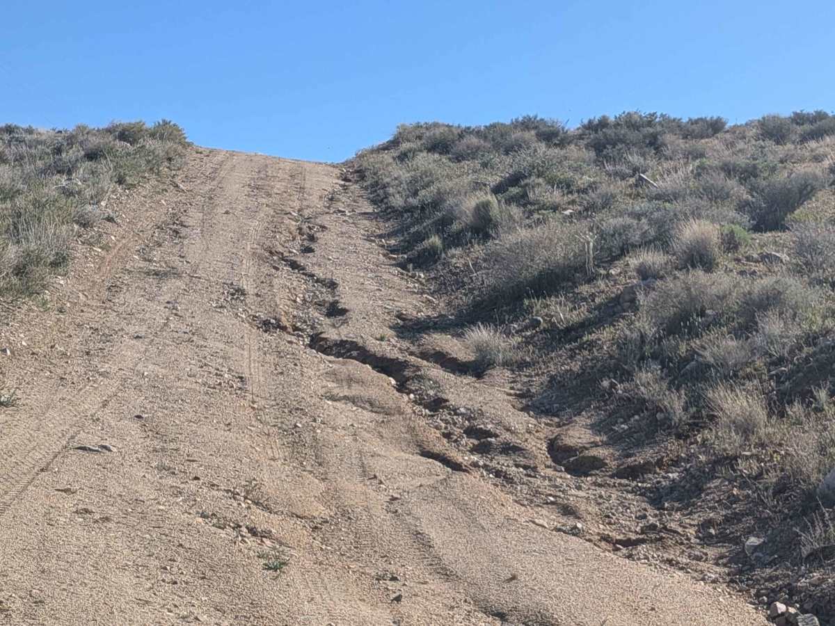 BLM SE781 photo 2