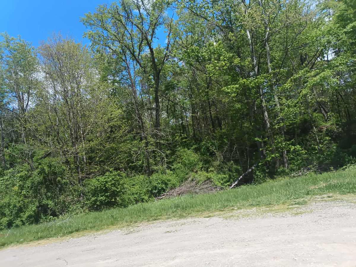 Number 8 Hollow Road photo 6