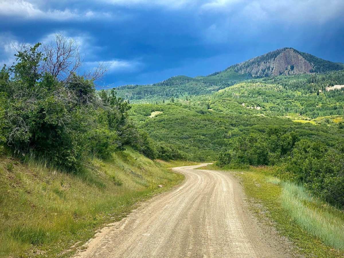Buckles Lake Road - FS 663 photo 5