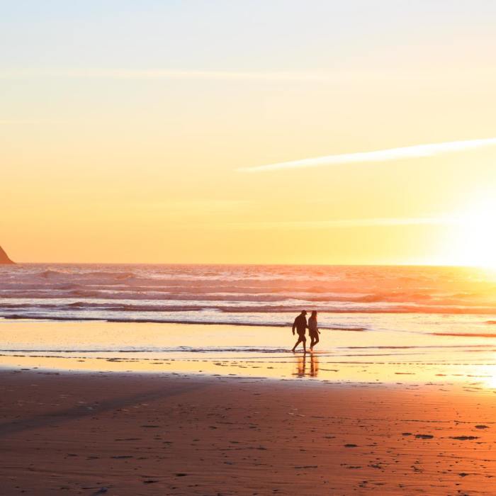 Near Cape Meares Big Spruce + Beach Trail