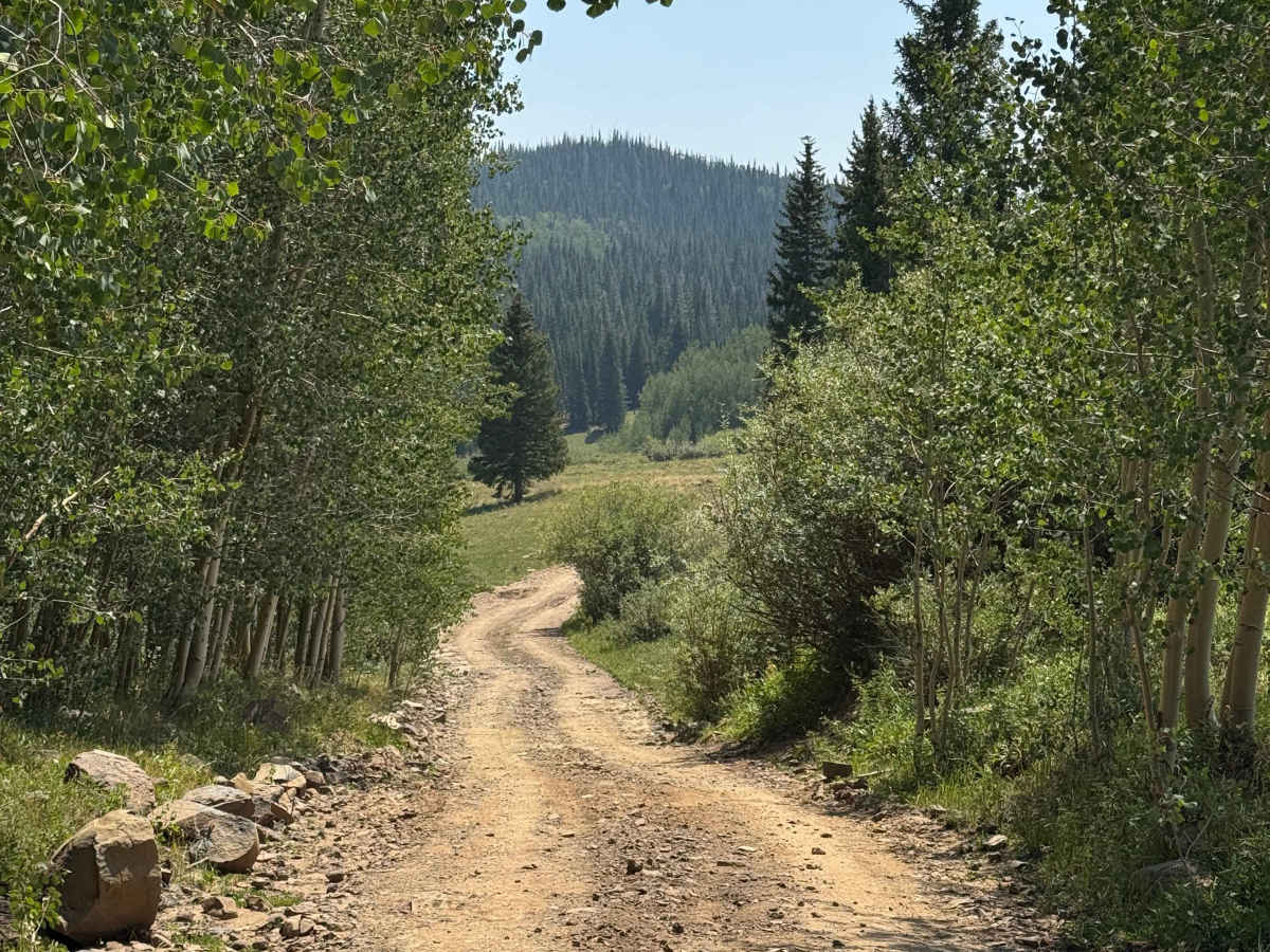 Harper Road - FS 915 photo 2