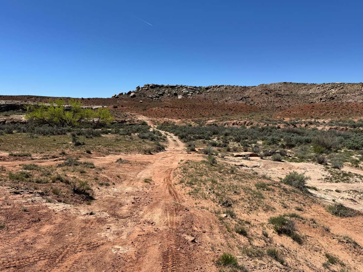 Salt Wash trail photo