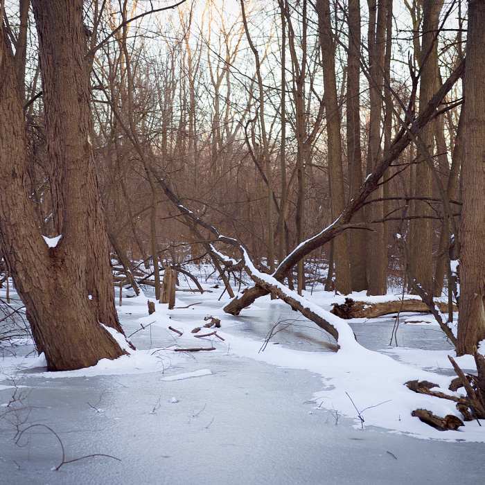 A frozen swamp provides nice scenery along the Center Cut Trail in winter. Near Ford Field Park