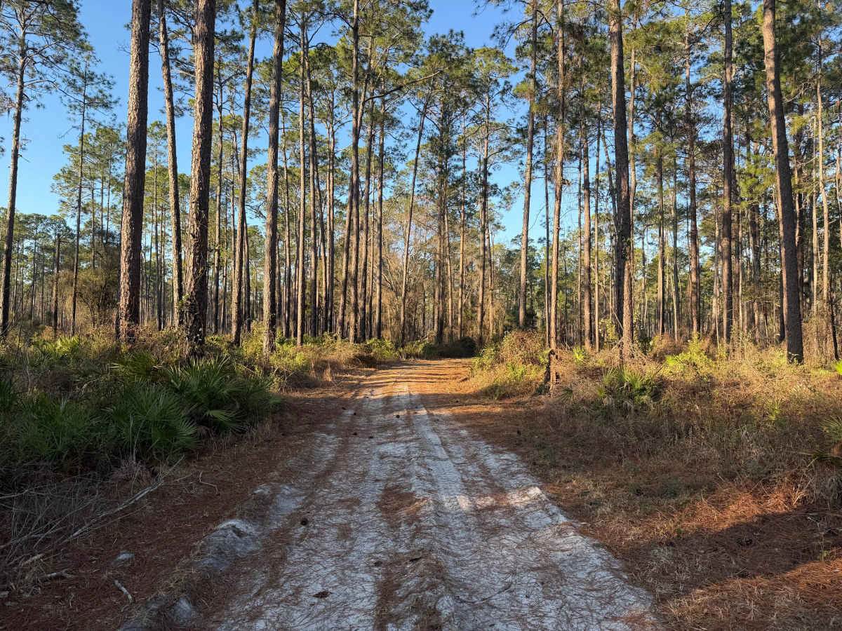 FR 217-E trail photo