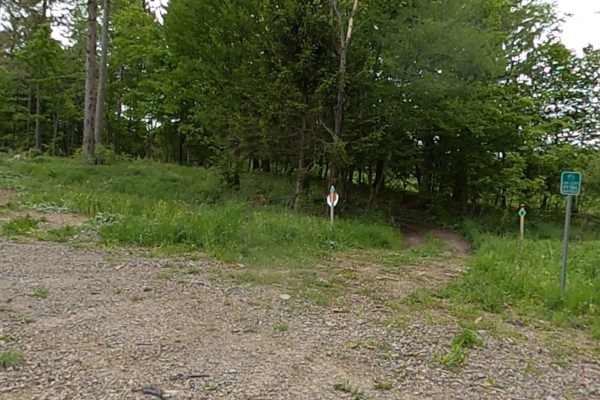 Lewis County Area A - Green Trail