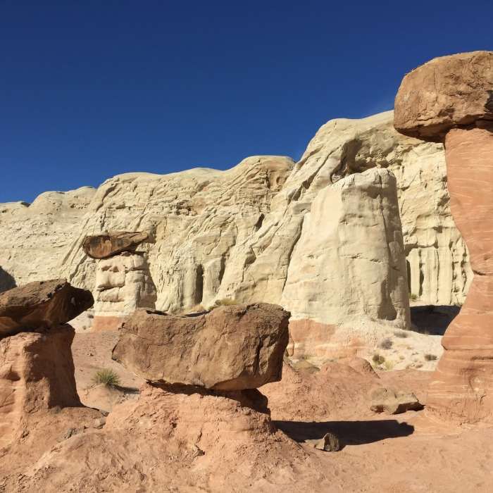 Near Toadstools Trail