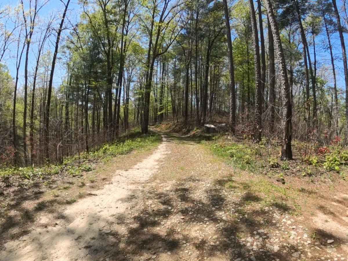 FS 2658 trail photo