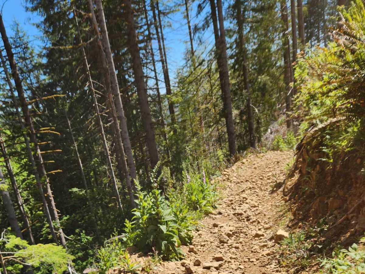 Slide trail photo