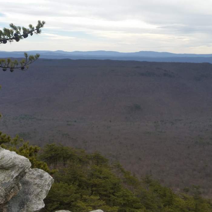 Near Greatest Hits of the Great North Mountain Trails