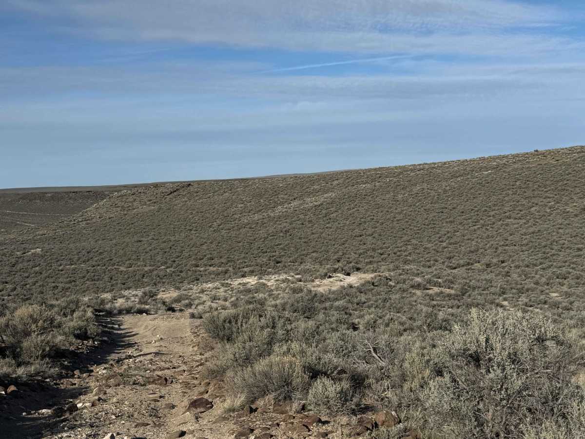 Nevada Crossing - BLM 5625 photo 3