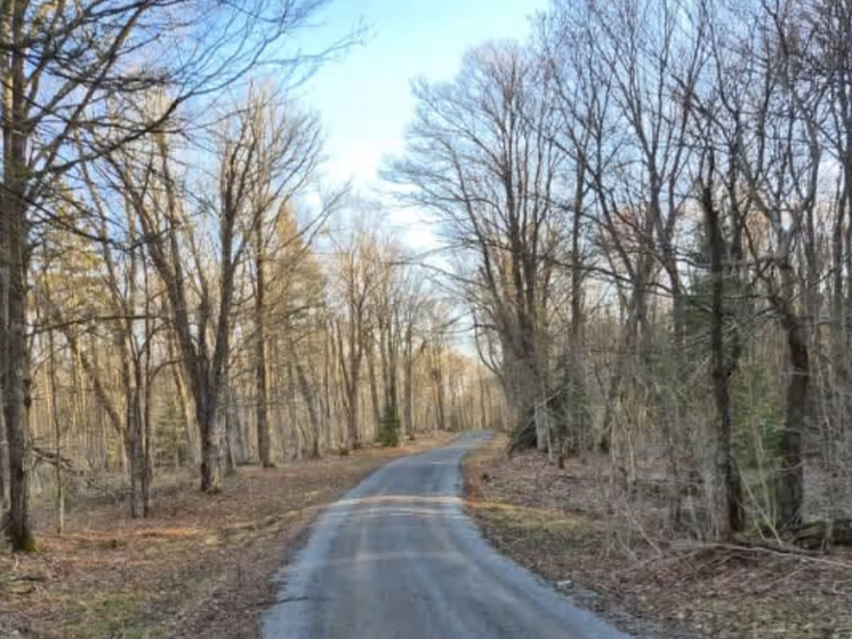 McGoldrick Truck Trail photo 2