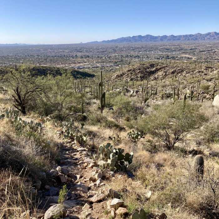 Near Pusch Peak via Linda Vista Trail Near Pusch Peak via Linda Vista Trail