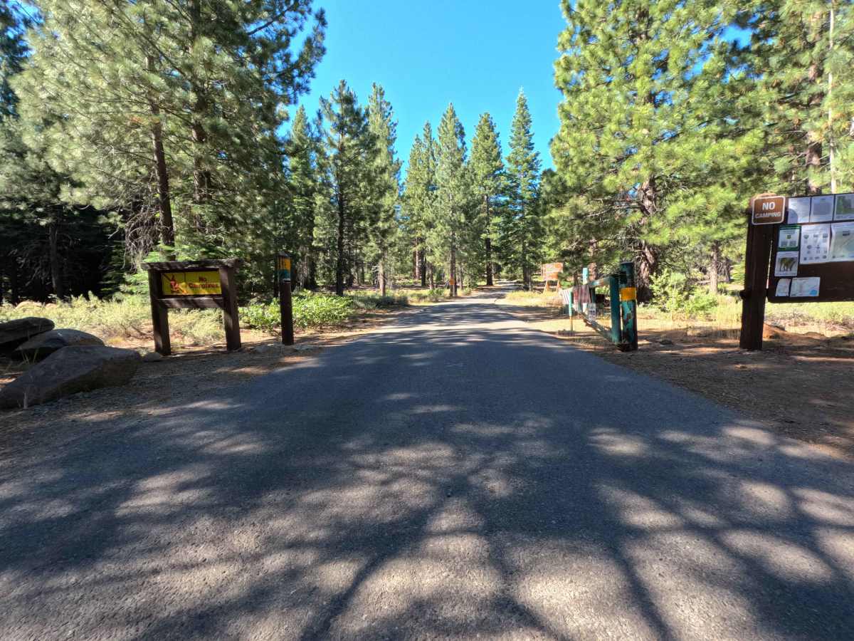 Sawtooth - FS 6 photo 2