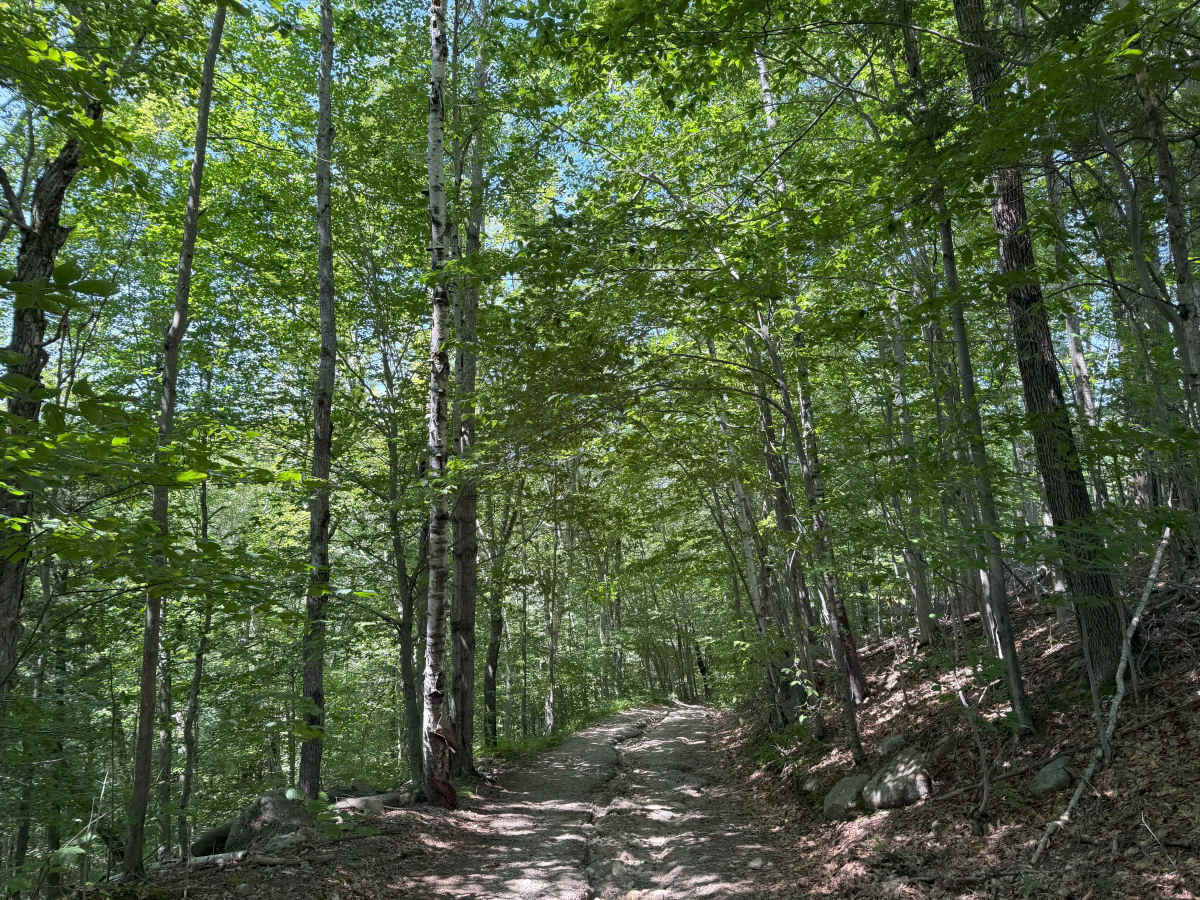 Thompson Road trail photo